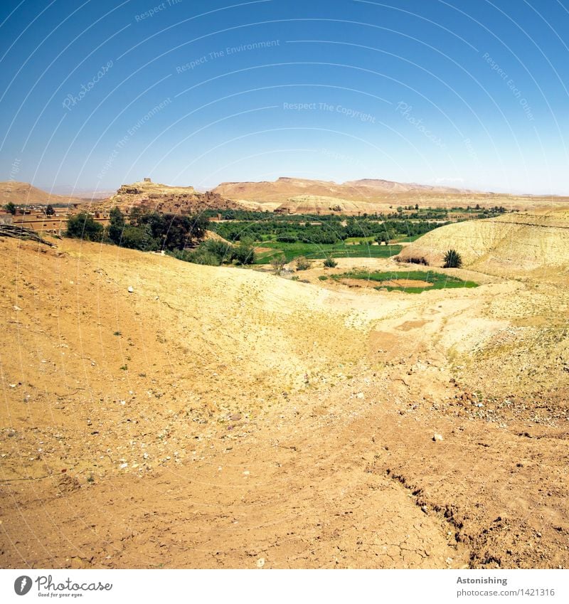 Oase Umwelt Natur Landschaft Erde Sand Himmel Wolkenloser Himmel Sommer Wetter Schönes Wetter Wärme Pflanze Baum Hügel Wüste Ait Benhaddou Marokko Kleinstadt