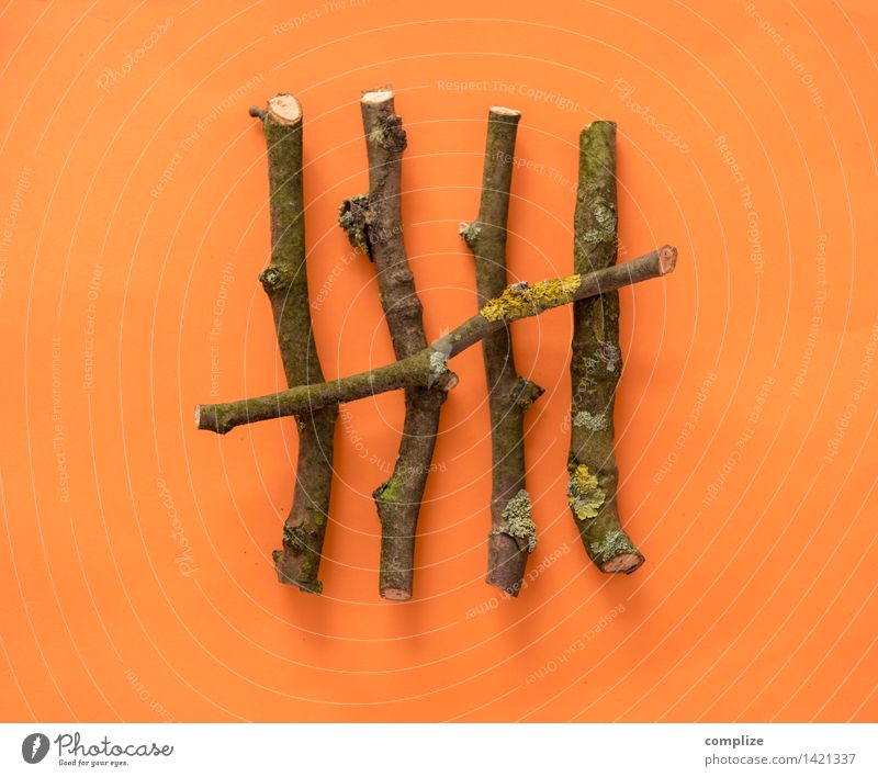 5 Gartenarbeit Hammer Säge Axt High-Tech Erneuerbare Energie Energiekrise Holz Zeichen Ziffern & Zahlen Eurozeichen sparen orange Verlässlichkeit Pünktlichkeit