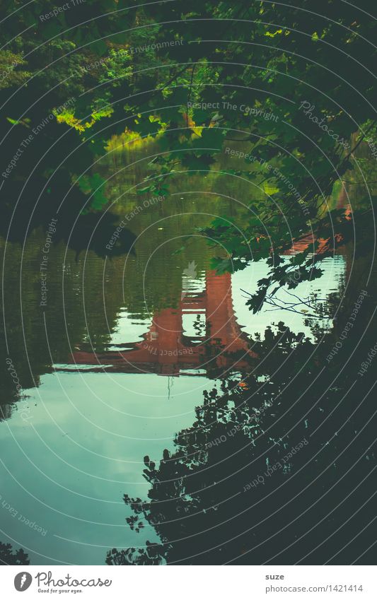 Die Brücke im Fluss harmonisch ruhig Ferien & Urlaub & Reisen Ausflug Umwelt Natur Landschaft Wasser Herbst Baum Wald Bauwerk Sehenswürdigkeit Wahrzeichen