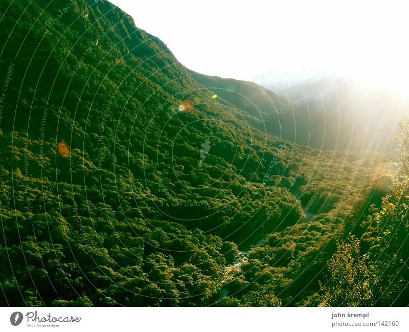 es werde licht! Anau Milford Sound Neuseeland Südinsel Urwald Wald grün Licht Sonne Morgen Sonnenaufgang Lampe Lichterscheinung Himmelskörper & Weltall