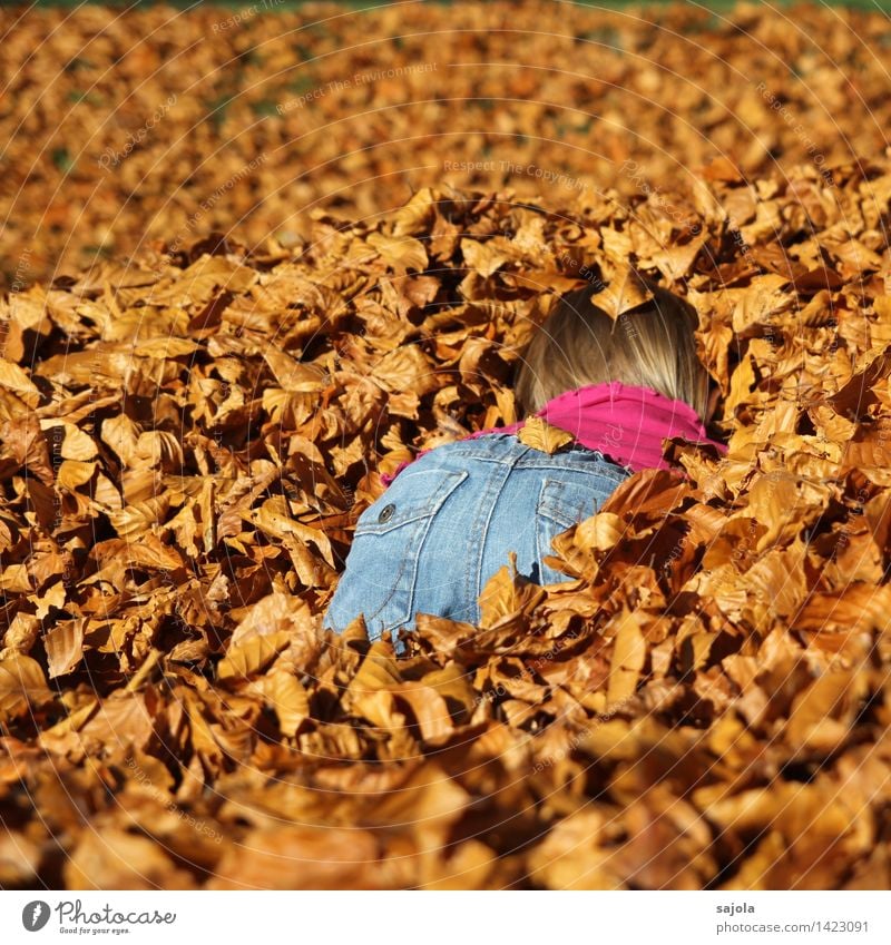 eintauchen in den herbst Mensch feminin Kind Kleinkind Mädchen Gesäß 1 1-3 Jahre Umwelt Natur Herbst Schönes Wetter Blatt Buchenblatt Park trocken braun