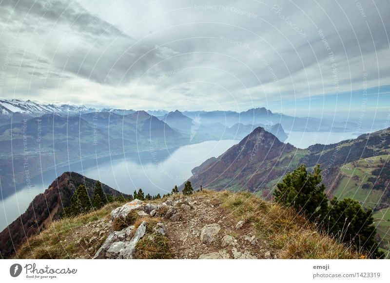 geschafft! Umwelt Natur Landschaft Herbst Alpen Berge u. Gebirge Gipfel See außergewöhnlich natürlich blau Schweiz Tourismus Wanderausflug Vierwaldstätter See