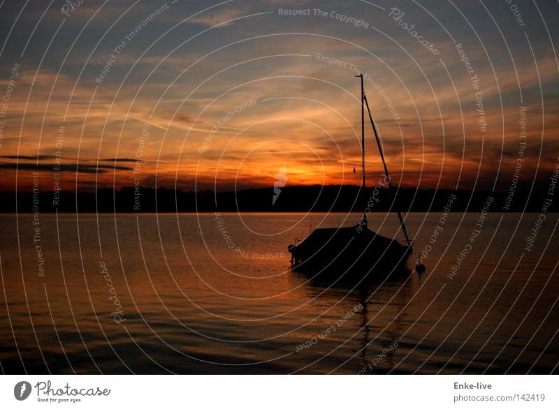 Sonnenuntergang See Wasserfahrzeug Segelboot Starnberger See Himmel Abenddämmerung rot ruhig Frieden Gelassenheit Erholung genießen schön Horizont