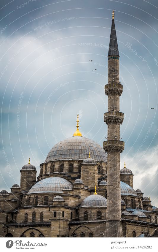 Glauben und glauben lassen Ferien & Urlaub & Reisen Tourismus Ausflug Ferne Sightseeing Städtereise Moschee Blaue Moschee Istanbul Türkei Turm Bauwerk Gebäude