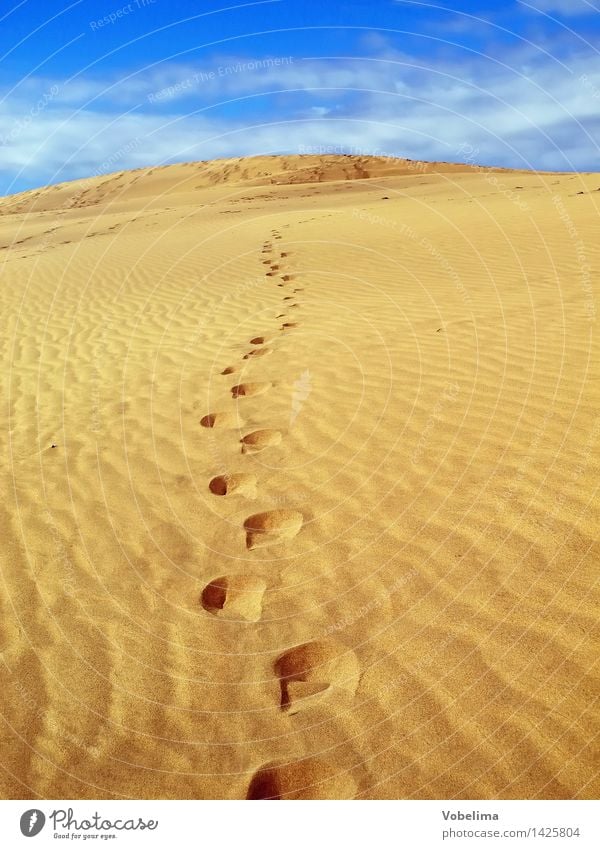 Sanddüne bei Maspalomas, Gran Canaria Landschaft Wolken Klimawandel Schönes Wetter Wärme Wüste Fußspur wandern Unendlichkeit heiß trocken blau braun gelb gold