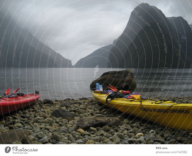 Erstmal ausruhen. Milford Sound Neuseeland Südinsel Küste Fjord Meer Landschaft Berge u. Gebirge Gezeiten Ebbe Flut Eis Regen Nebel Windstille Wasserfahrzeug