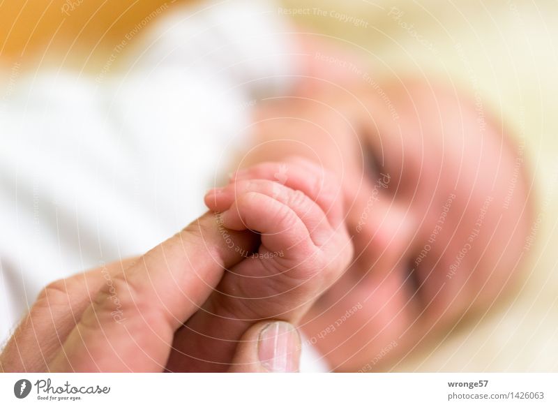Annäherung Mensch feminin Baby Mädchen Hand Finger 2 0-12 Monate 45-60 Jahre Erwachsene klein Neugier gelb rosa weiß Gefühle Geborgenheit Sympathie Zusammensein