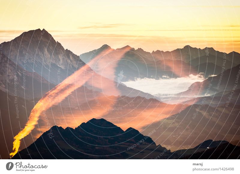 Frühmorgens am Berg Sonnenaufgang Sonnenuntergang Herbst Nebel Alpen Berge u. Gebirge leuchten Stimmung Lebensfreude Überraschung träumen bizarr einzigartig