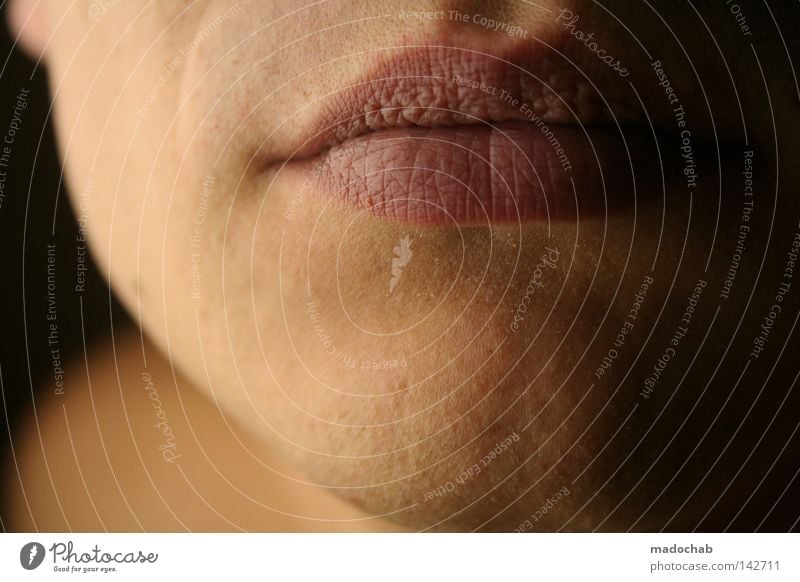 lippenlesen Nahaufnahme schön Haut ruhig Flirten Mensch maskulin feminin androgyn Mann Erwachsene Jugendliche Leben Kopf Gesicht Mund Lippen 1 18-30 Jahre Wärme