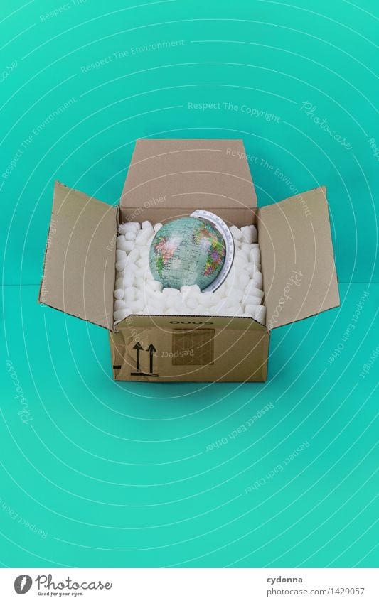 Beiseite packen kaufen Wirtschaft Handel Güterverkehr & Logistik Business Erfolg Verpackung Paket Globus Beratung Farbe Gesellschaft (Soziologie)