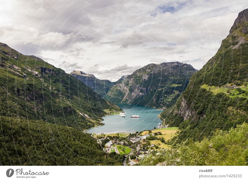 Blick auf den Geirangerfjord Erholung Ferien & Urlaub & Reisen Kreuzfahrt Berge u. Gebirge Natur Landschaft Wasser Wolken Fjord Idylle Tourismus Norwegen