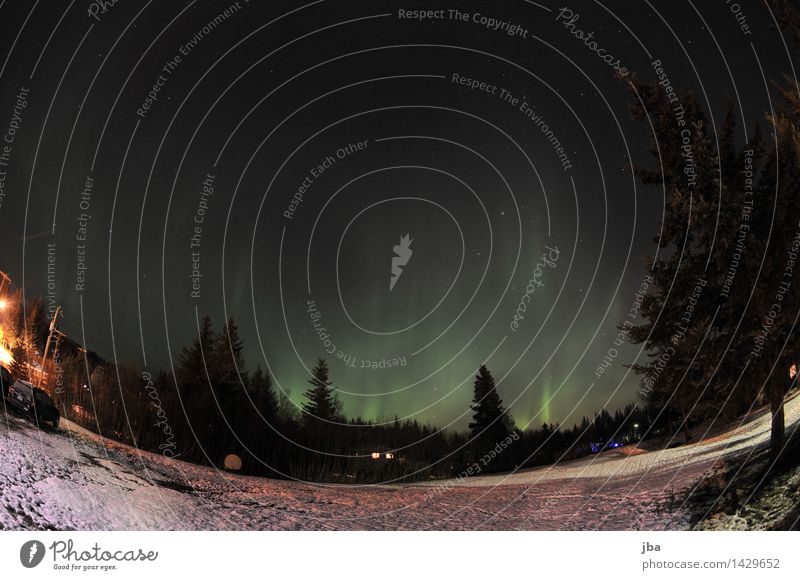 Nordlichter in Homer ruhig Ferne Schnee Natur Urelemente Luft Himmel Nachthimmel Stern Mond Herbst Schönes Wetter Alaska USA leuchten Norden nordisch grün