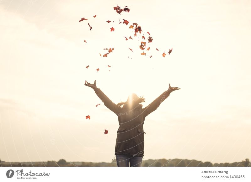 #311 / Herbstgefühle Junge Frau Jugendliche 18-30 Jahre Erwachsene Blatt Jacke Bewegung fliegen Spielen toben werfen frei Fröhlichkeit Glück Unendlichkeit