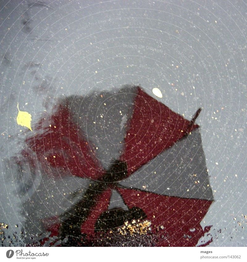Regentag Pfütze Regenschirm Schirm Schutz Spiegel Reflexion & Spiegelung rot-weiß Blatt Asphalt Teer Wasser Verkehrswege Fototechnik Straße