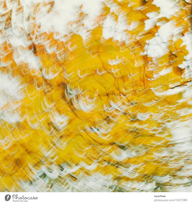 wischhhhhh .. und weg abstrakt gelb Bewegung rotieren Dynamik Außenaufnahme Blatt Baum Herbst Kunst