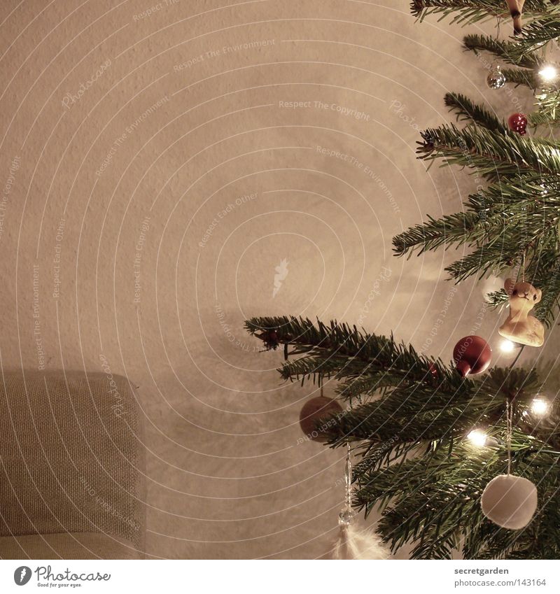 das warten auf den weihnachtsmann. Tanne Tannennadel Christbaumkugel braun grün Licht Physik weiß Schneeflocke weich Weihnachtsdekoration Schmuck Stimmung