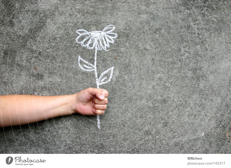 Mauerblümchen Blume Kreide Wand Beton gezeichnet Gemälde Arme greifen festhalten Hand Finger weiß grau Glückwünsche Wunsch Souvenir Geburtstag Geschenk schenken