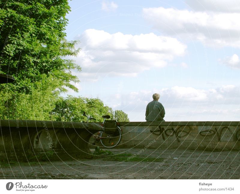 Auf der Mauer Mann Brunnen Baum Fahrrad Mensch sitzen Himmel Einsamkeit einzeln 1 Ein Mann allein Hintergrund neutral Vor hellem Hintergrund Pause Erholung