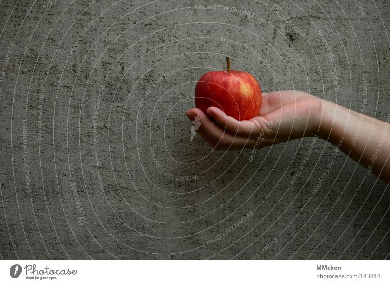 An apple a day.... Apfel Hand Wand Beton Frucht Diät Gesundheit rot knackig saftig lecker Appetit & Hunger Schneewittchen Küche Adam und Eva