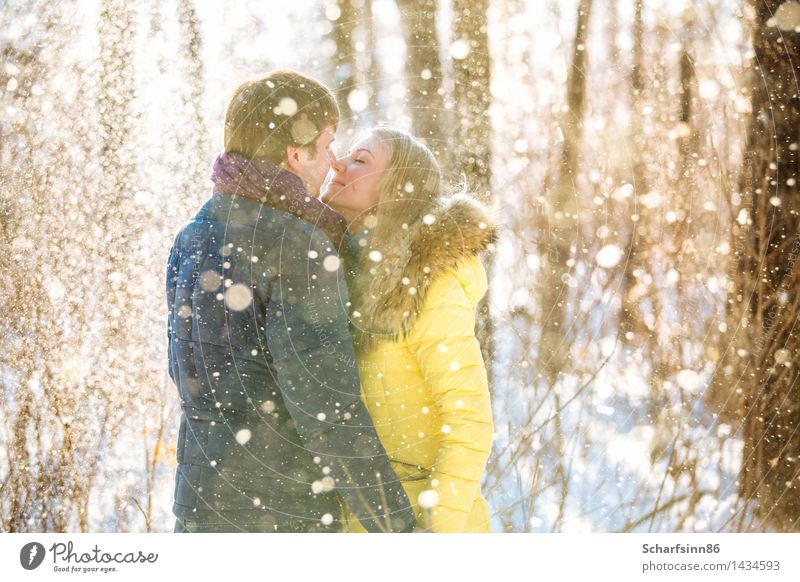 Ein liebendes Paar im Winterpark mit Kiefern Lifestyle Ausflug Schnee wandern Valentinstag maskulin feminin Junge Frau Jugendliche Familie & Verwandtschaft