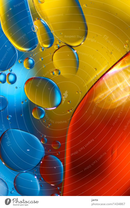 liquid colour #4 Öl Wasser Schwimmen & Baden außergewöhnlich elegant frisch hell nass rund blau gelb rot Kreativität Blase Wasserblase mehrfarbig Farbe
