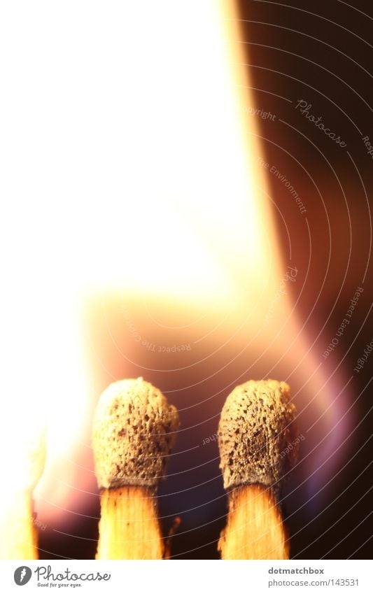 Zündung Brand Feuer zünden entzünden entzündet Streichholz Licht Makroaufnahme Nahaufnahme match matchbox light