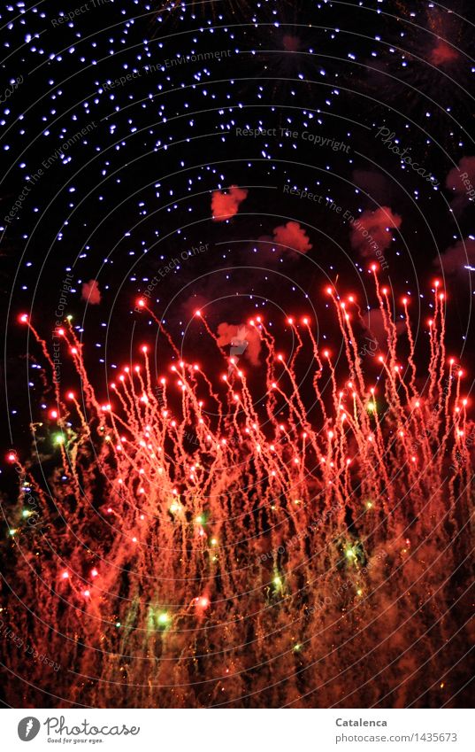 Feuerwerk Feste & Feiern Silvester u. Neujahr Veranstaltung Show Böller fliegen leuchten Rauchen blau gold grün orange rot schwarz Lebensfreude Freude