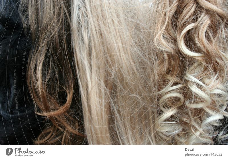 fake fur floosies Stil schön Haare & Frisuren feminin Accessoire brünett blond langhaarig Locken Perücke braun falsch Frauenhaare synthetisch Fälschung Glätte