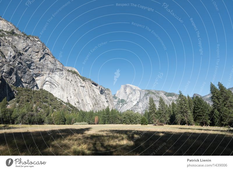 Yosemite Valley Leben harmonisch Wohlgefühl Zufriedenheit Ferien & Urlaub & Reisen Ausflug Abenteuer Ferne Freiheit Umwelt Natur Landschaft Urelemente Himmel