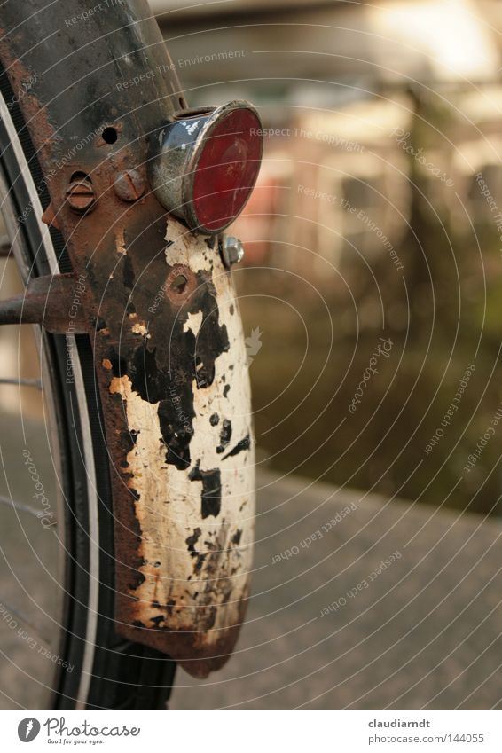 Rostlaube Fahrrad Rad Reifen Schutzblech Katzenauge Reflektor Speichen alt verwittert Vergänglichkeit Zahn der Zeit Fahrradrücklicht Oxidation