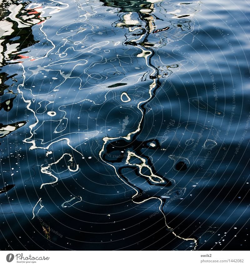 Unrast Wasser Wellen Ostsee Bewegung maritim unten bizarr unruhig fließen Spiegelbild Wandel & Veränderung Gleichgewichtsstörung Störung taumeln zerfließen