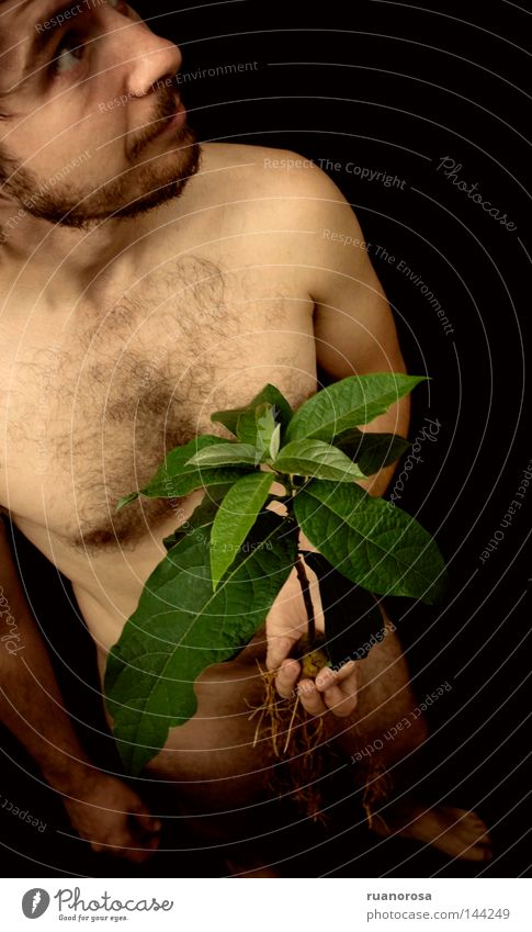 Lo Mann Mensch Akt Körper Gesicht Hand Pflanze Blatt Avocado Wurzel Baumwurzel Stengel Schatten grün zufällig ruhig Gelassenheit zeigen