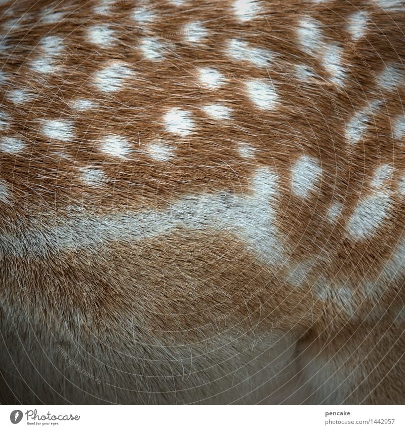 comic | bambi Natur Tier Wildtier Tierjunges Zeichen Bekanntheit niedlich Rehkitz Bambi Fell Punkt Punktmuster Farbfoto Außenaufnahme Nahaufnahme Detailaufnahme