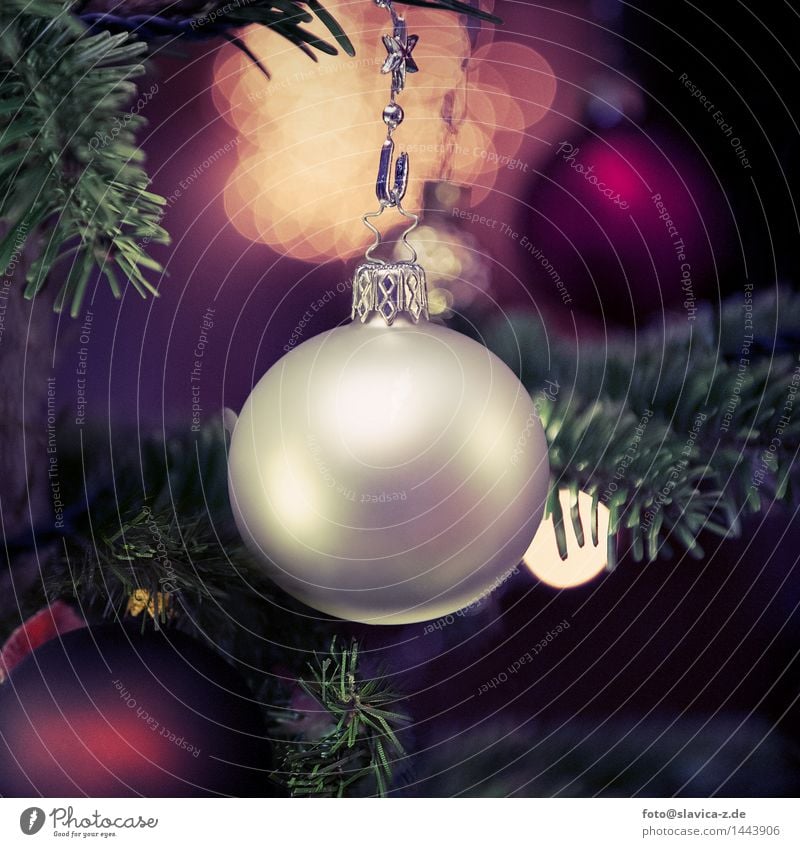 Geschmückten Weihnachtsbaum Glück Winter Dekoration & Verzierung Weihnachten & Advent Familie & Verwandtschaft Liebe Fröhlichkeit Romantik Feiertag fest