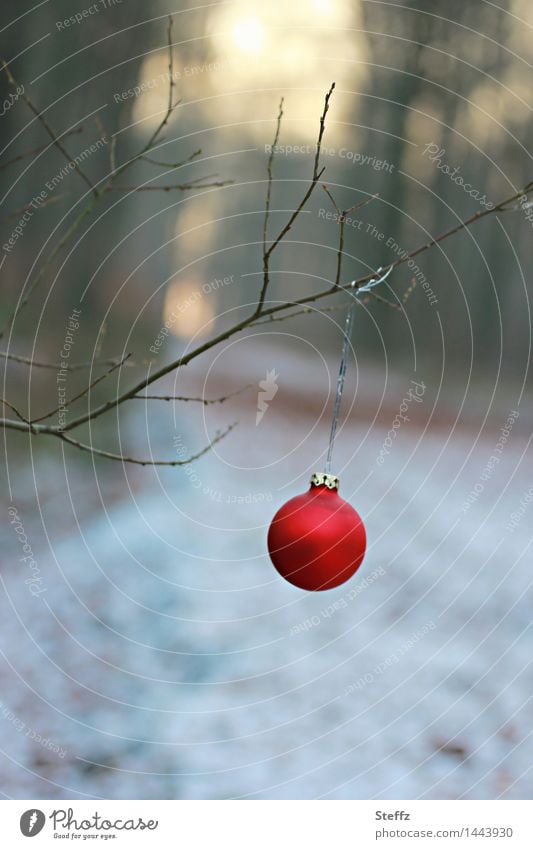 Weihnachtskugel im Winterwald Advent Christbaumkugel Weihnachten Erster Advent Weihnachten & Advent Adventszeit christliche Tradition Weihnachtsdeko Stille