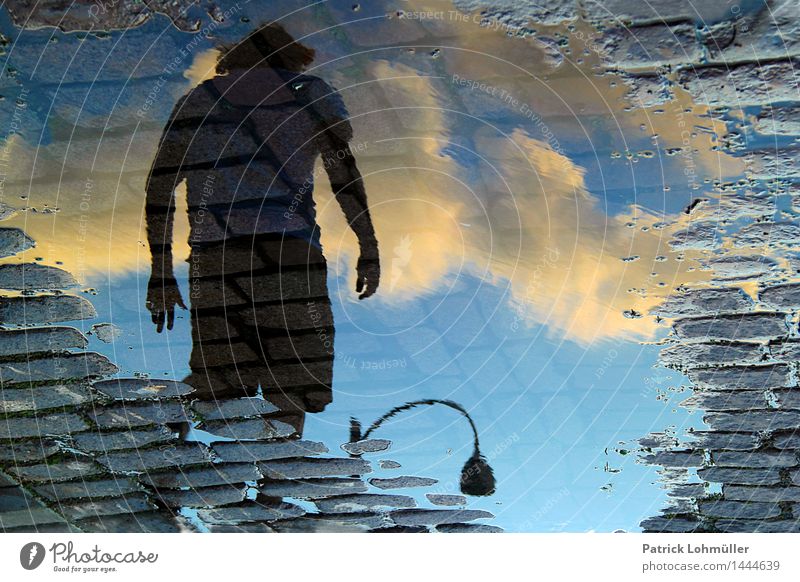 Wassermann Mensch maskulin Mann Erwachsene Körper Oberkörper 1 30-45 Jahre Umwelt Erde Himmel Wolken Sommer Schönes Wetter Pfütze Montreal Kanada Nordamerika