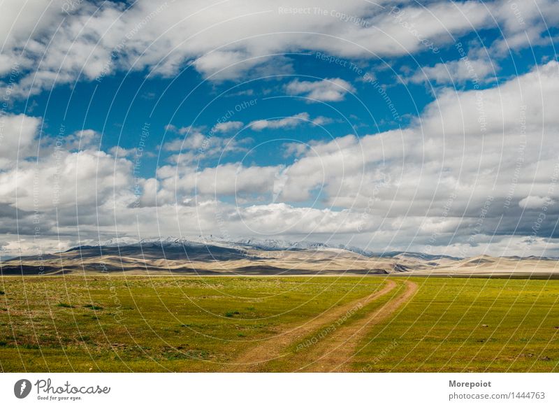 die Landstraße zu den Hügeln Feld Hügelseite Hügelige Landschaft Nomade Altai Natur grün Gras Sommer blau Blauer Himmel Wolken Berge im Freien reisen Umwelt