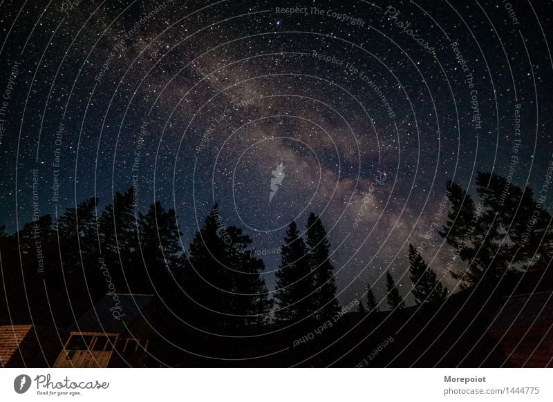 Milchstraße hinter dem Wald Landschaft Nachthimmel Milchstrasse Stern Himmel Außenaufnahme Langzeitbelichtung Sternenhimmel Galaxie Natur Farbfoto