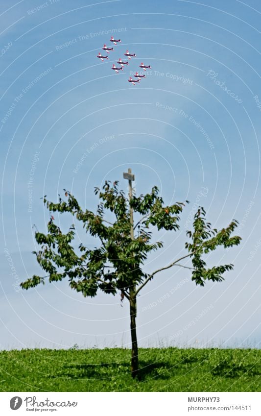 PC-7 Swiss: Diamant (Formation) kreist über einem Kirschbaum Flugzeug Propellerflugzeug Schweiz Kunstflug Formationsflug fliegen Kirsche Gras Wiese Himmel