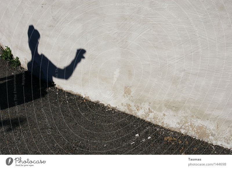 Die Falsche Schlange falsch Schatten Silhouette Wand gruselig Schattenspiel Typ Angst Panik gefährlich Projektion