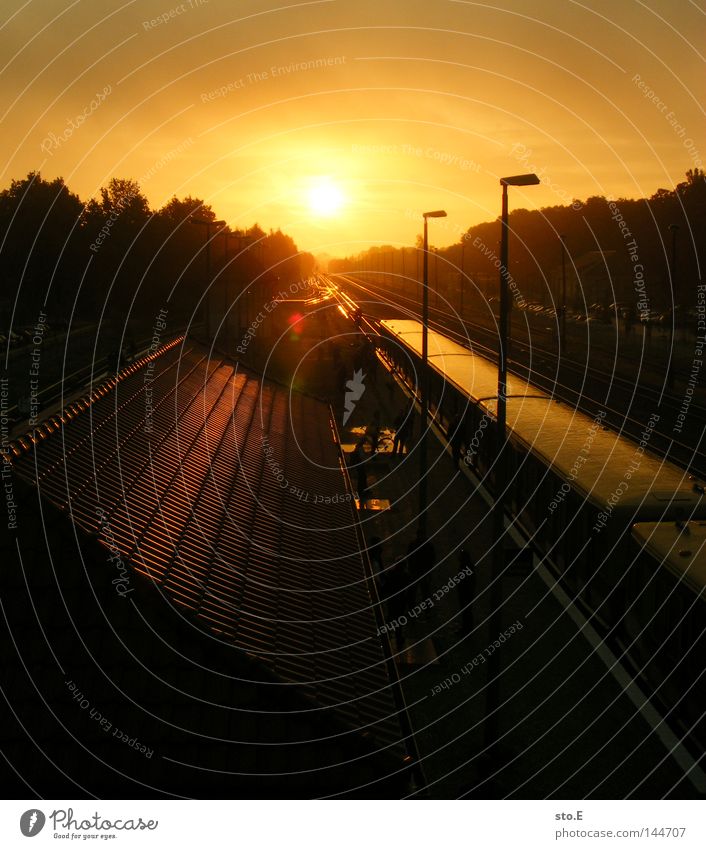 linie S5 Sonnenaufgang Morgen Stimmung Gegenlicht Blendeneffekt blenden erleuchten Reflexion & Spiegelung Muster Ordnung dunkel Bahnhof Verkehrswege Eisenbahn