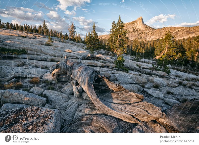 Yosemite NP Wellness Wohlgefühl Zufriedenheit Sinnesorgane Erholung ruhig Ferien & Urlaub & Reisen Tourismus Ausflug Abenteuer Ferne Freiheit Expedition Camping