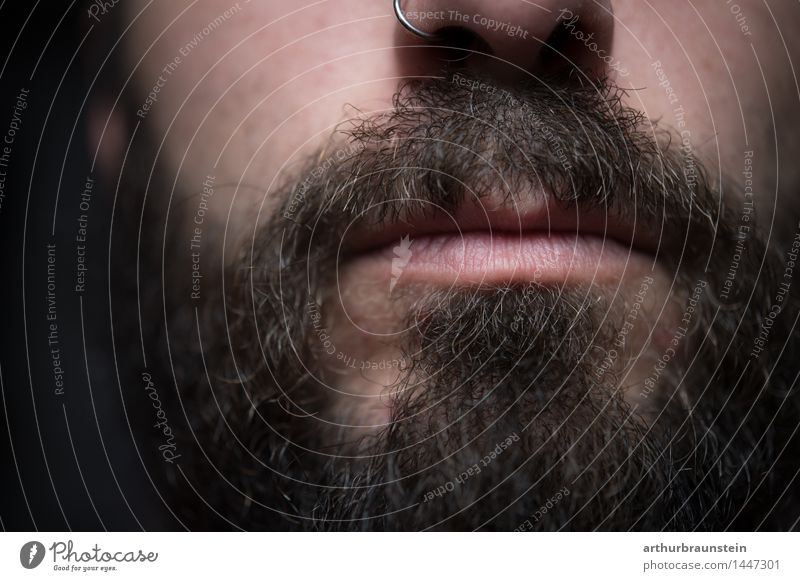 Junger Mann mit Piercing in der Nase und Vollbart Gesicht Mensch maskulin Jugendliche Erwachsene Bart 1 30-45 Jahre Schmuck Nasenring Haare & Frisuren brünett