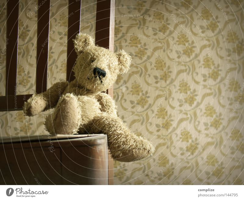 Bernd der Bär Freude Stuhl Tapete Kinderzimmer Teddybär Stofftiere sitzen gruselig lustig retro süß Blümchentapete antik Siebziger Jahre Sechziger Jahre obskur