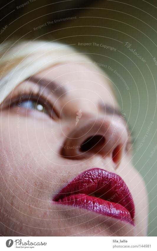 Rote Lippen... Mund Nase Augenbraue blond Lippenstift Kussmund Küssen Frau Jugendliche Sex-shop Haut schön Schmatz Zärtlichkeiten Oberlippe Unterlippe
