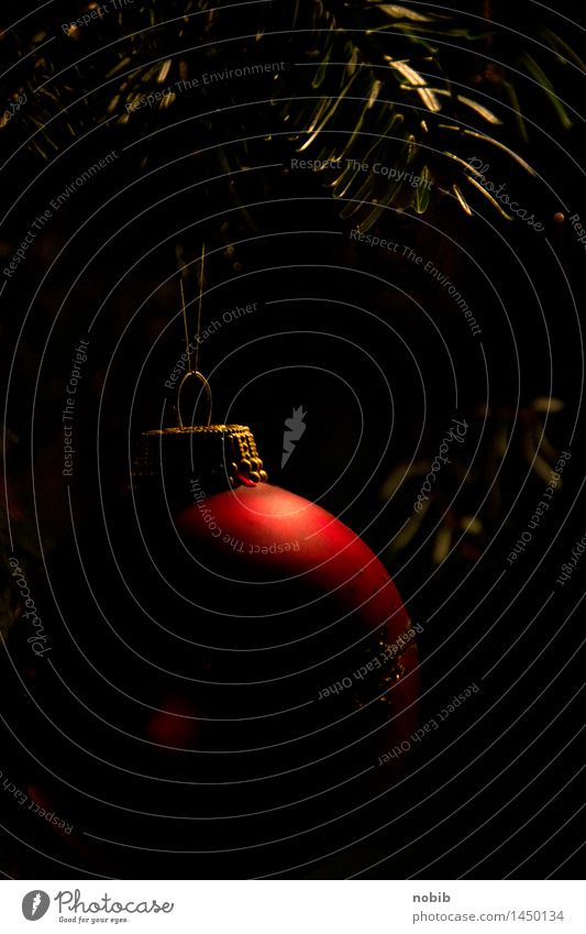 Weihnachtsbaumkugel Feste & Feiern Weihnachten & Advent Christbaumkugel Metall Kugel glänzend Kitsch schön Wärme Vorfreude Warmherzigkeit träumen