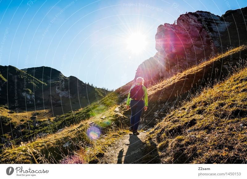 Auf, auf! Lifestyle Freizeit & Hobby wandern Junge Frau Jugendliche Natur Landschaft Himmel Herbst Schönes Wetter Wiese Alpen Berge u. Gebirge Gipfel Rucksack