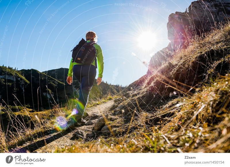 Wanderin auf dem Weg zur Memminger Hütte Freizeit & Hobby Abenteuer wandern feminin Junge Frau Jugendliche 18-30 Jahre Erwachsene Natur Landschaft Sonne Herbst