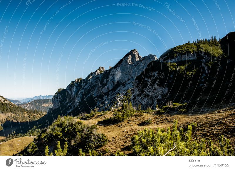 Rotwand Freizeit & Hobby wandern Umwelt Natur Landschaft Himmel Herbst Schönes Wetter Sträucher Wald Felsen Alpen Berge u. Gebirge Gipfel gigantisch groß