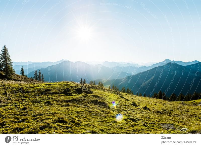 Rotwand Freizeit & Hobby wandern Umwelt Natur Landschaft Himmel Sonnenlicht Schönes Wetter Wiese Alpen Berge u. Gebirge Gipfel frisch natürlich blau grün